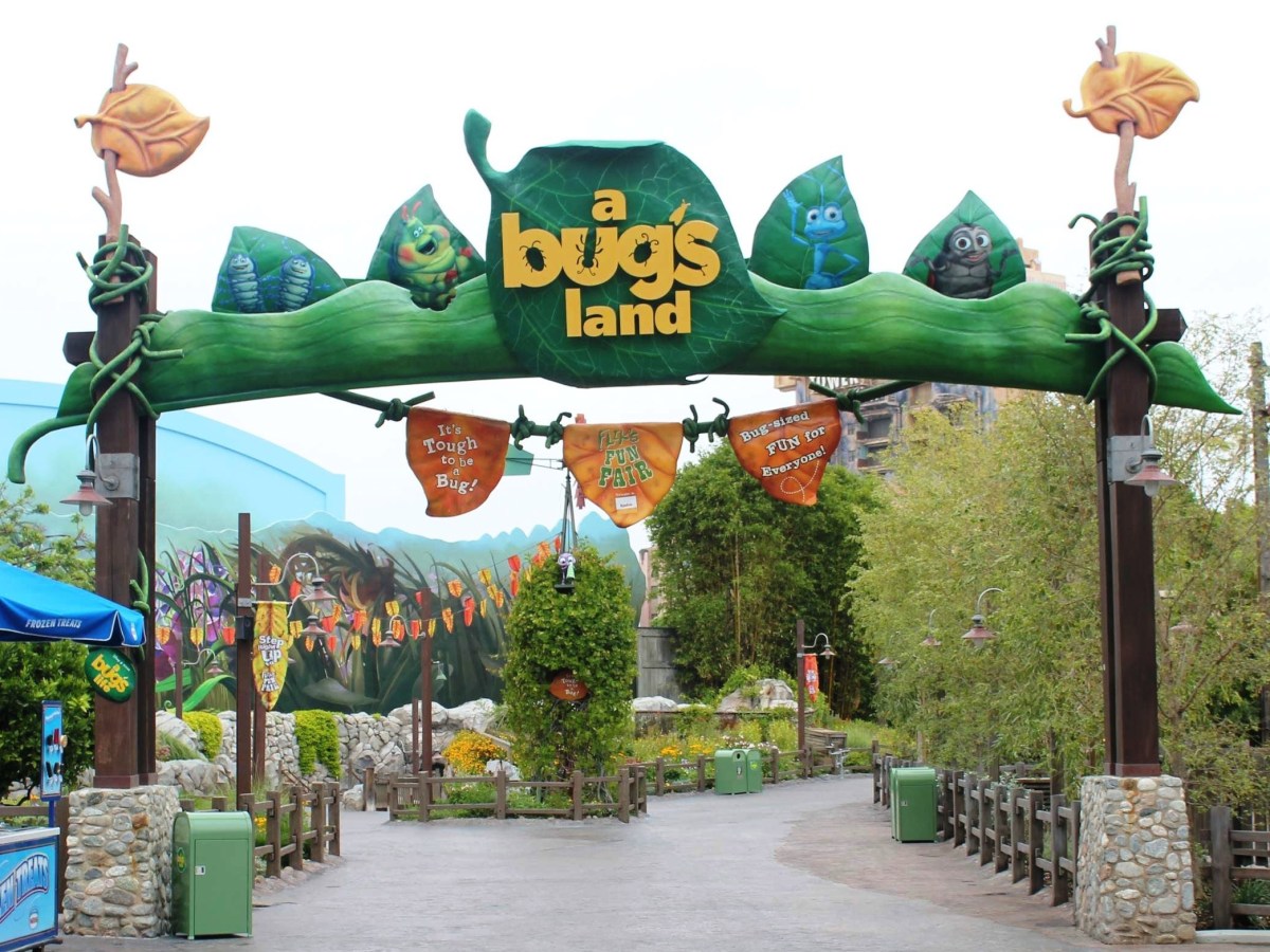 A Bug&rsquo;s Land&nbsp;(2002-2018)