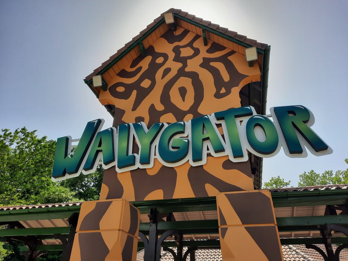 Nouveaux noms, nouveaux logos & nouvelle mascotte&nbsp;(2021)