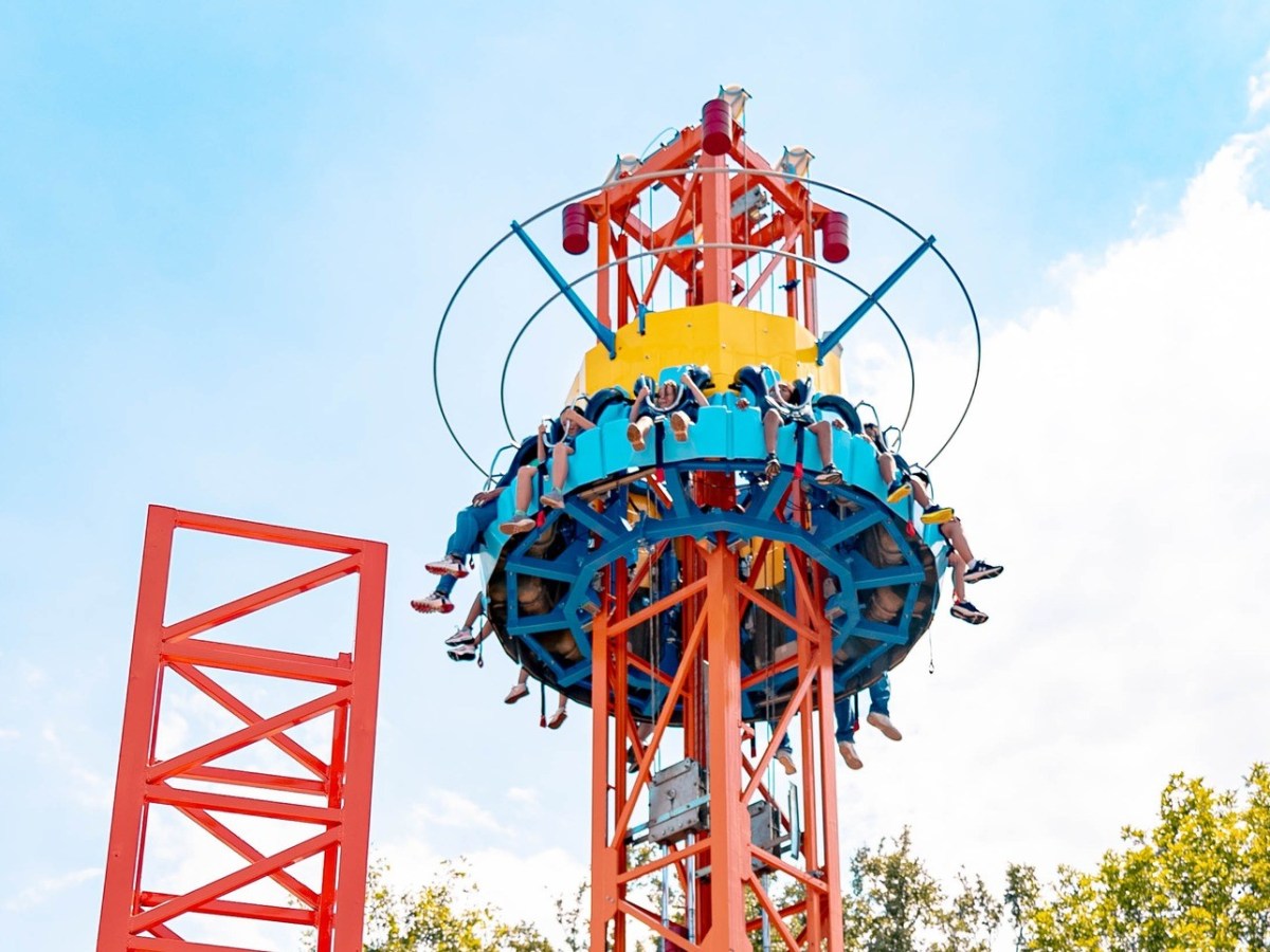 Sylvester et Tweety Pounce and Bounce (25 Mai&nbsp;2024)