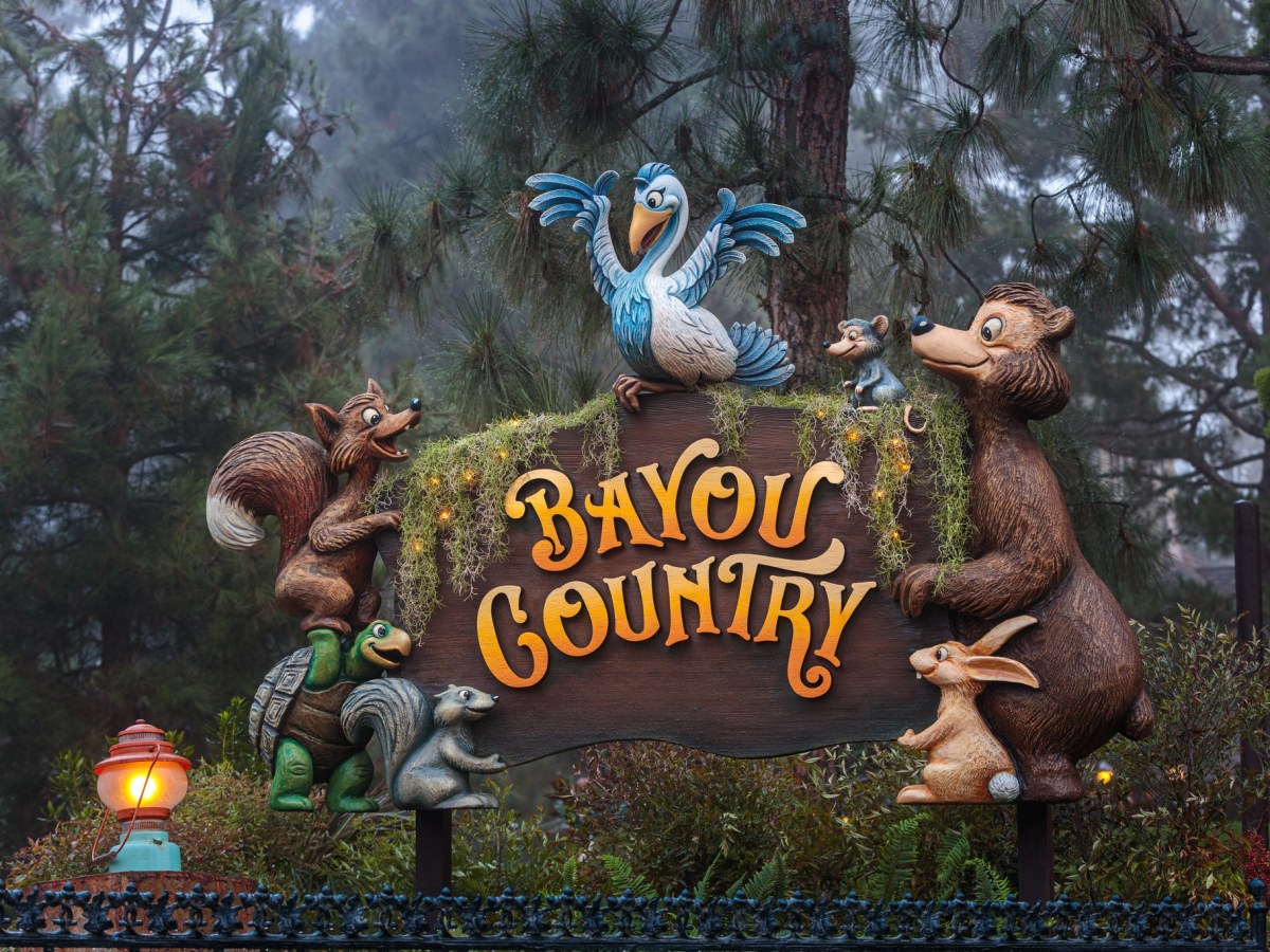 Transformation : Bayou Country (15 Novembre&nbsp;2024)