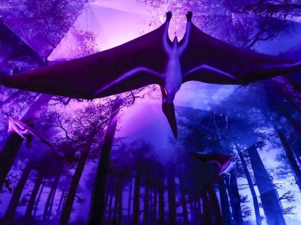 Jurassic Island : 360° XPerience (30 Novembre&nbsp;2024)