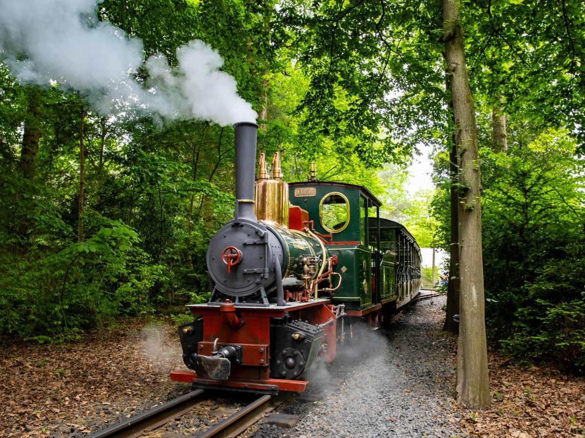 Transformation : Stoomtrein (7 Mai&nbsp;2025)