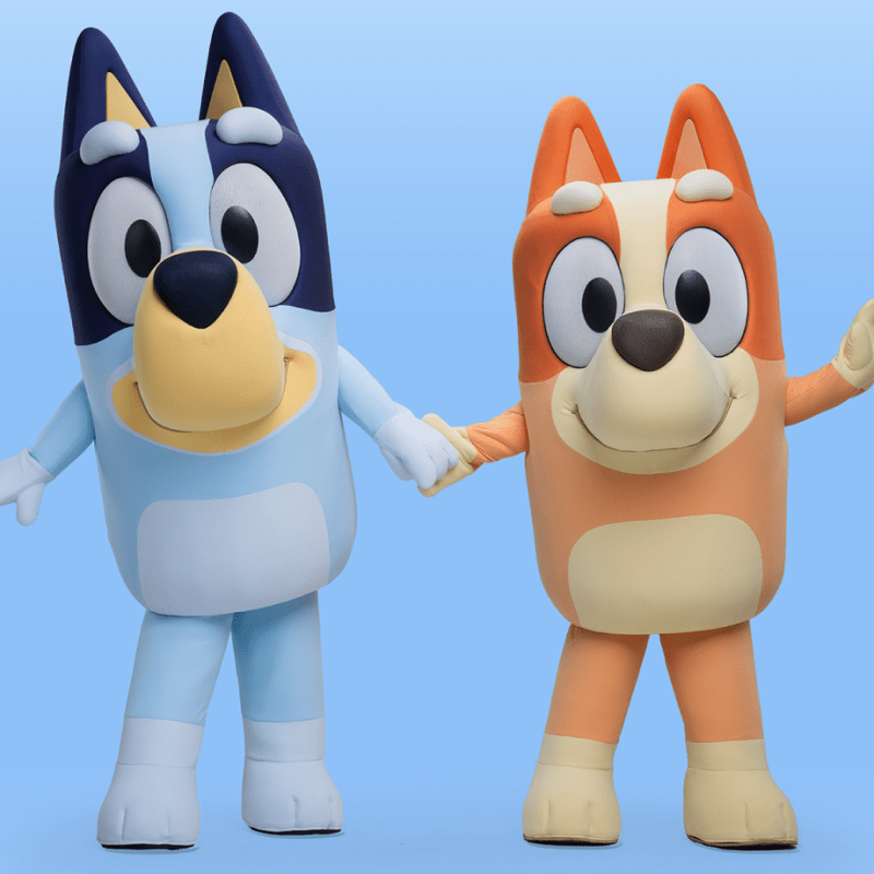 Bluey’s Wild World (26 Mai&nbsp;2026)
