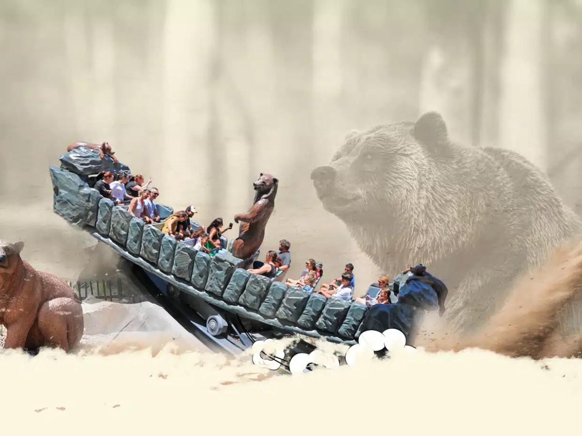 Grande Ourse (1er Juillet&nbsp;2023)